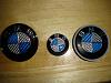 FS Blue/Silver CF Emblems-dsc09639.jpg