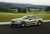 2009 SL 65 AMG Black Series-2009_mercedes_benz_sl_65_amg_black_image036__small_.jpg