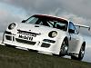 Porsche GT3 Cup cars and carts-pgolf_1s.jpg