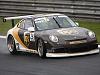 Porsche GT3 Cup cars and carts-pgolf_2s.jpg