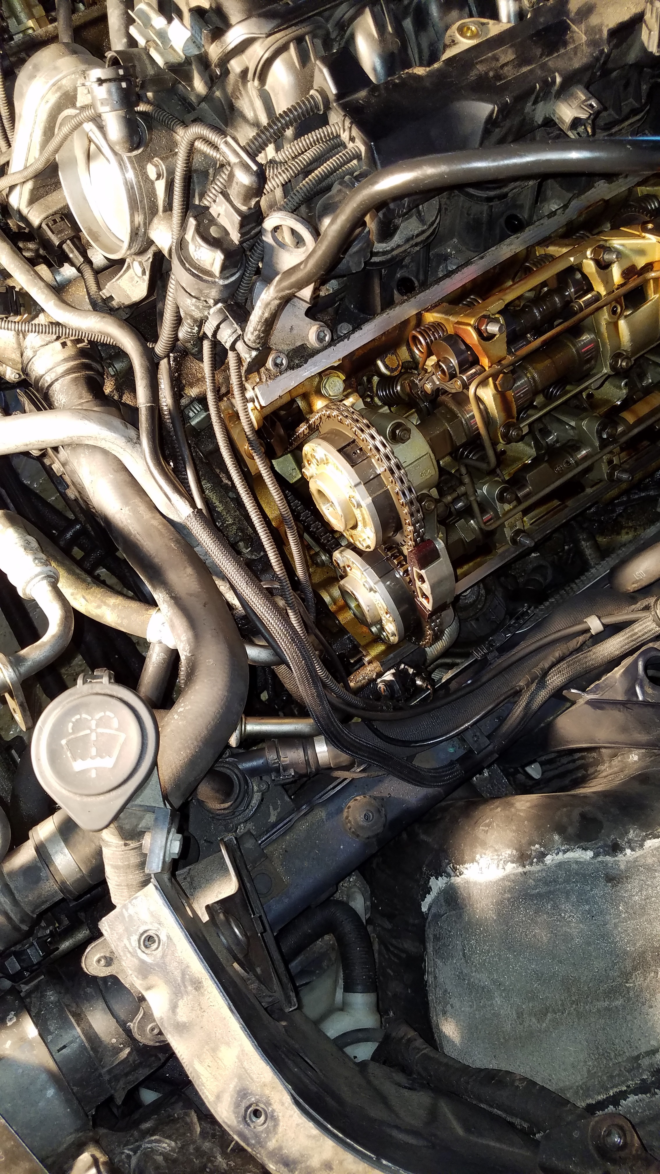 timing cover replacement cost