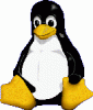 Software Crash-pinguin_augenaufschlag.gif