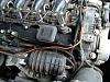 Vacum hoses-dsc03431.jpg