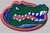 Who has Mystic Blue?-gatoruf.jpg