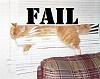 Check this out&#33;-cat_fail-12844.jpg