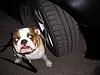 Winter Tire Recommendations 545i Sport-p1010001.jpg