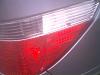 I Have A Bee In My tail light&#33;-60hi0381.jpg