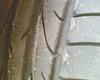 Tire Wear - normal?-obraz017.jpg
