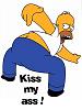 g timer-homer.jpg
