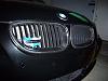 Black Grills...Do it or not?-cf_grill1.jpg