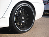 Black Rims w/ White Lip-untitled-6.png