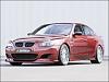 Riger Side Skirt or Hamann Side Skirt-hamann_ss_e60_1.jpg