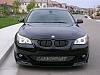 &quot;Hybrid&quot; Front Kidney Grill.  Opinions please.-e60_m_tech_5.jpg