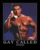 Swarovski Roundels-gay_called.jpg