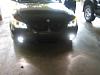 Angel Eyes and Fogs-img_3585.jpg