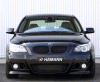 Hamann or ACS-screenhunter_013.gif