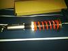 Nex GT Coilovers-img00159-20100209-1119.jpg