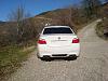 quad exhaust foto-m5-rear-2.jpg