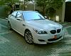 Hi-res Alpine White Pics-image038.jpg