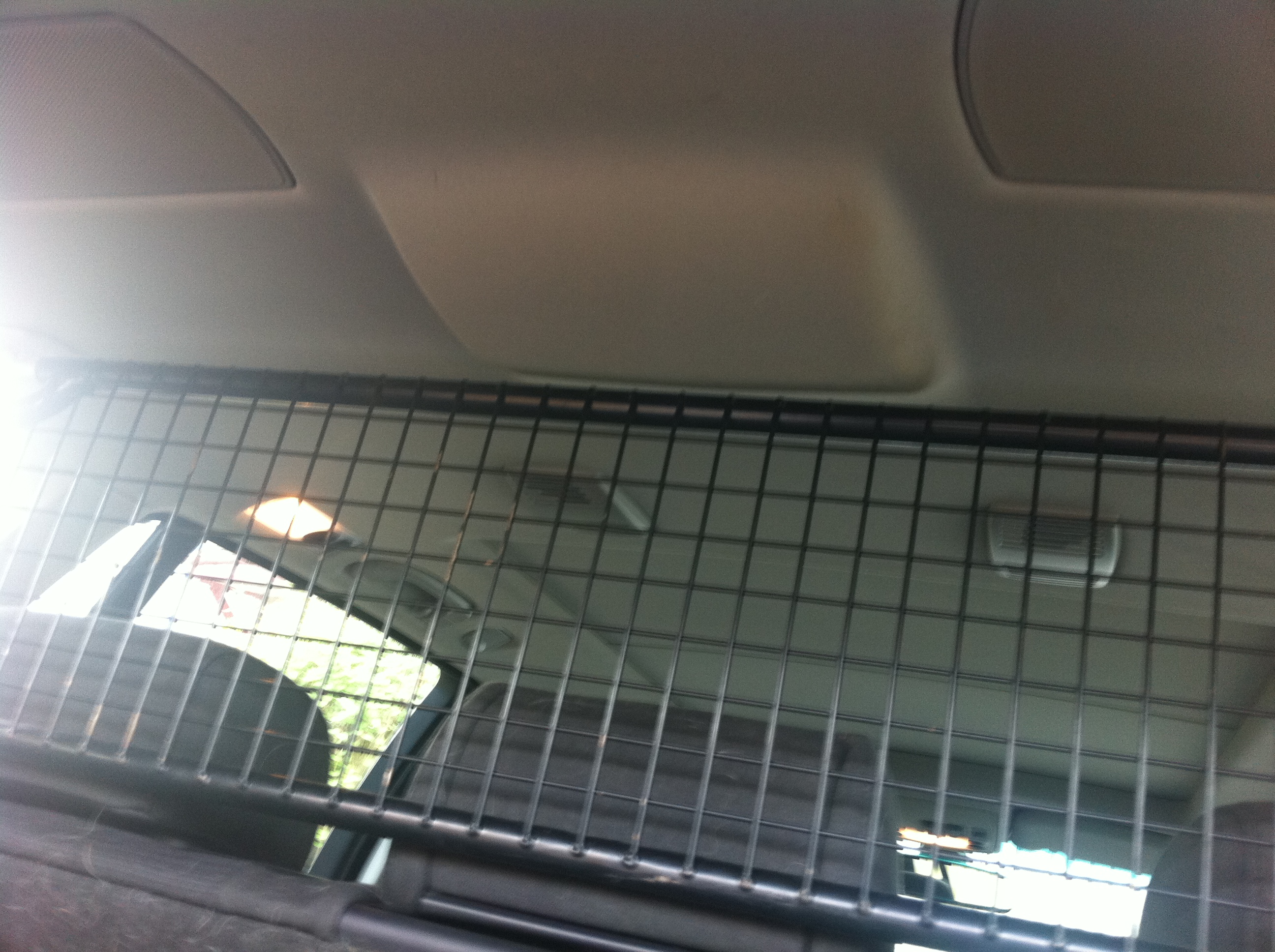 car dog guard nets