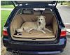 Bought a cargo car mat - Pooch Style-untitled.jpg