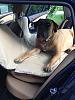 Bought a cargo car mat - Pooch Style-a044.jpg