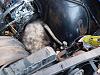 Checkout what&#39;s was in my engine bay.-p6187738.jpg