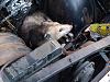 Checkout what&#39;s was in my engine bay.-p6187741.jpg