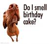 Happy Birthday Dave-232336-xcitefun-happy-birthday-5.jpg