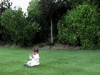 Funny pics-owned28.gif