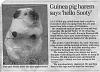 Funny pics-sooty1.jpg