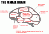 Male and Female Brains-female_brain.gif