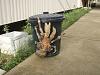 Coconut Crabs-coconut_crab.jpg