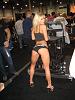 Adult Entertainment Expo Las Vegas 2008-avn_037.jpg