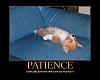 Motivational Posters-3366863_patience.jpg