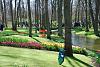 KEUKENHOF, Holland - world&#39;s biggest tulip garden-01.jpg