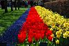 KEUKENHOF, Holland - world&#39;s biggest tulip garden-03.jpg
