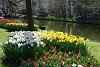 KEUKENHOF, Holland - world&#39;s biggest tulip garden-16.jpg