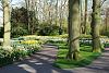 KEUKENHOF, Holland - world&#39;s biggest tulip garden-17.jpg