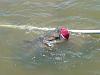Floating Fish-catfish3.jpg