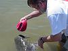 Floating Fish-catfish5.jpg