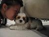 Post pics of your dogs/pets...-img_8069.jpg