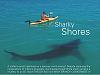 Planning a trip to St. Maarten&#33; Any other options?-sharkkayak2_great_white_kayak.jpg