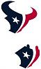 NFL Footbll 2008 (Week 6)-texans.jpg