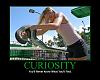 Demotivational posters-curiosity.jpg