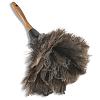 Home Theater Systems-ostrich_20feather_20duster.jpg