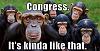 US Congress... What a Joke&#33;-funny_pictures_congress_monkeys.jpg