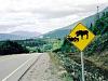 What&#39;s your favourite traffic-sign??-0_1020_754605_00.jpg