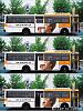 Bus Graphics-busgraphics__1_.jpg