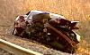 Drunk Driver Parks Ferrari On train Tracks.-ferrar_dallas_train.jpg